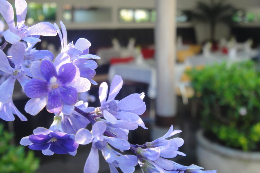 Casa Oniri Hotel Boutique Barichara Luaran gambar